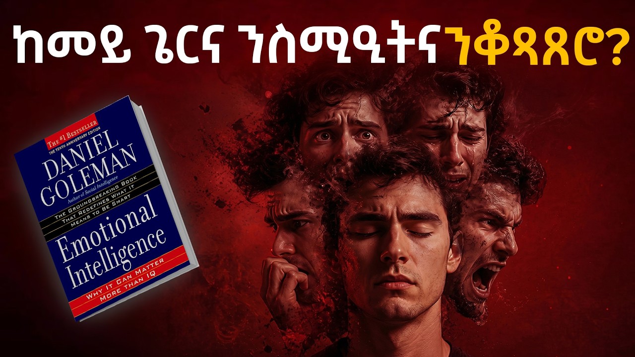 ስምዒታዊ ብስለት ብኸመይ ነማዕብል? | Emotional intelligence book summary in Tigrinya by Thibaut Meurisse