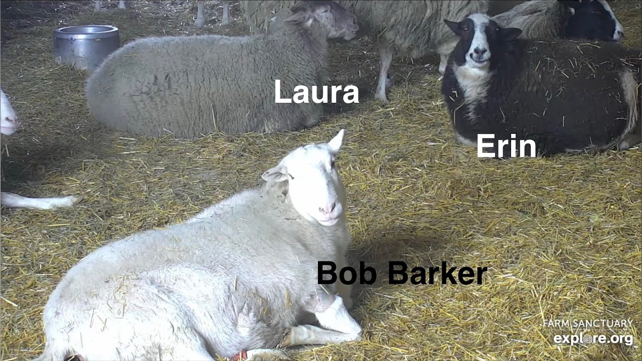 260228 Farm Sanctuary: Bob Barker, Erin & Laura