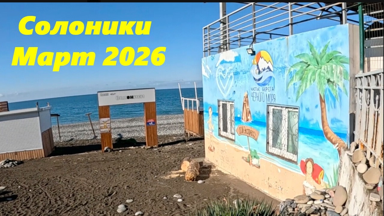 Солоники в марте 2026.  Сочи.