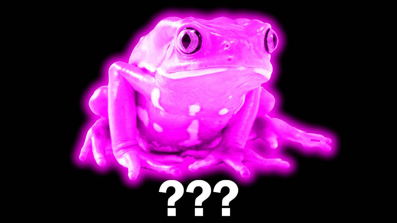 20 