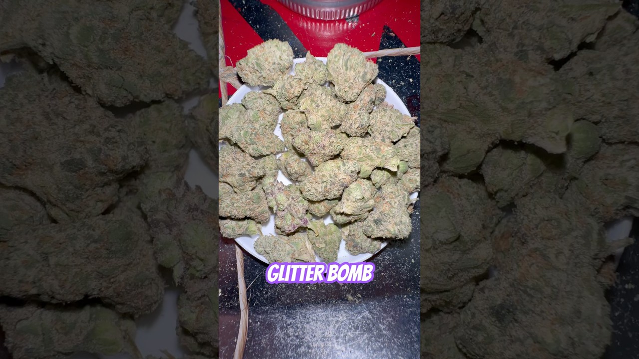 Glitter Bomb | THCAKING  #weedcommunity #420community #cannabisdaily #stayhigh