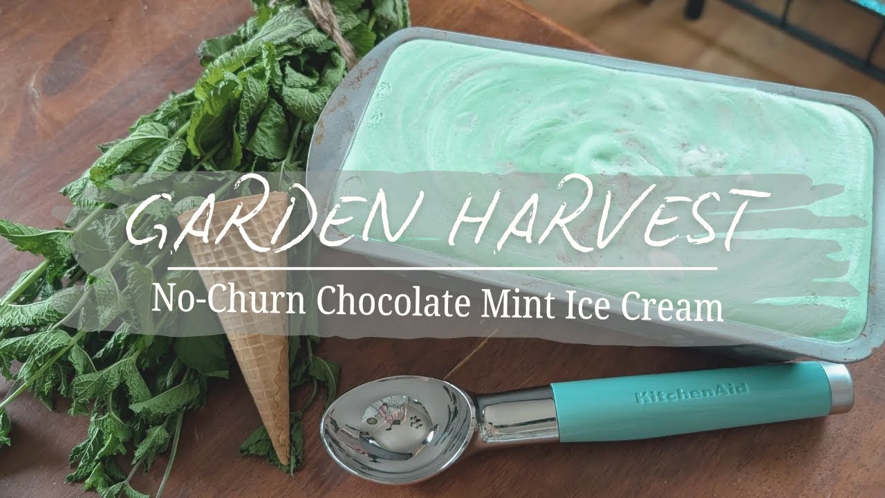 Garden Harvest | No-Churn Chocolate Mint Ice Cream