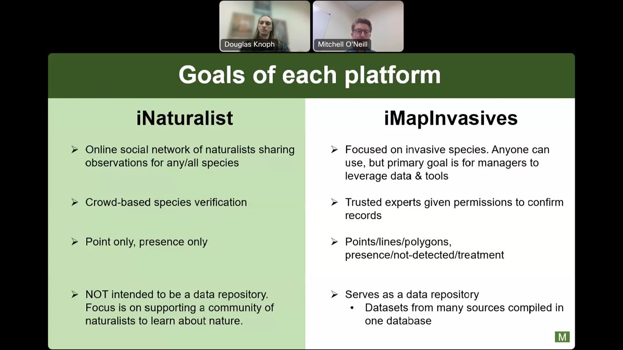 iMapInvasives & iNaturalist Intersections