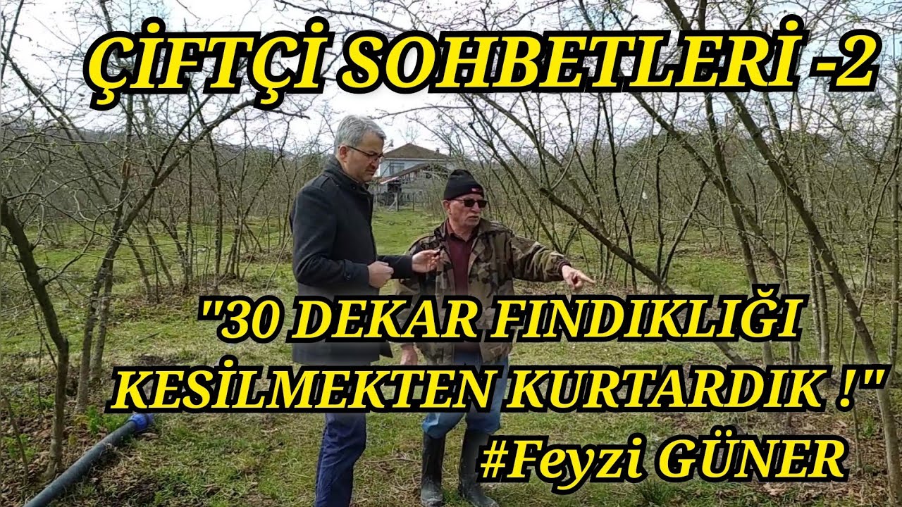 Fındık Bahçesi DALKIRAN ZARARLISI ve KURAKTAN Nasıl Kurtuldu❗DAMLAMA SULAMA | ÇİFTÇİ SOHBETLERİ  -2