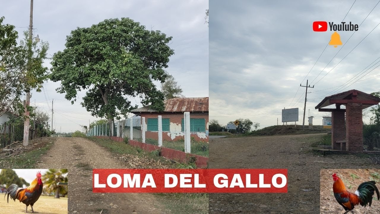 Loma del Gallo, Tempoal