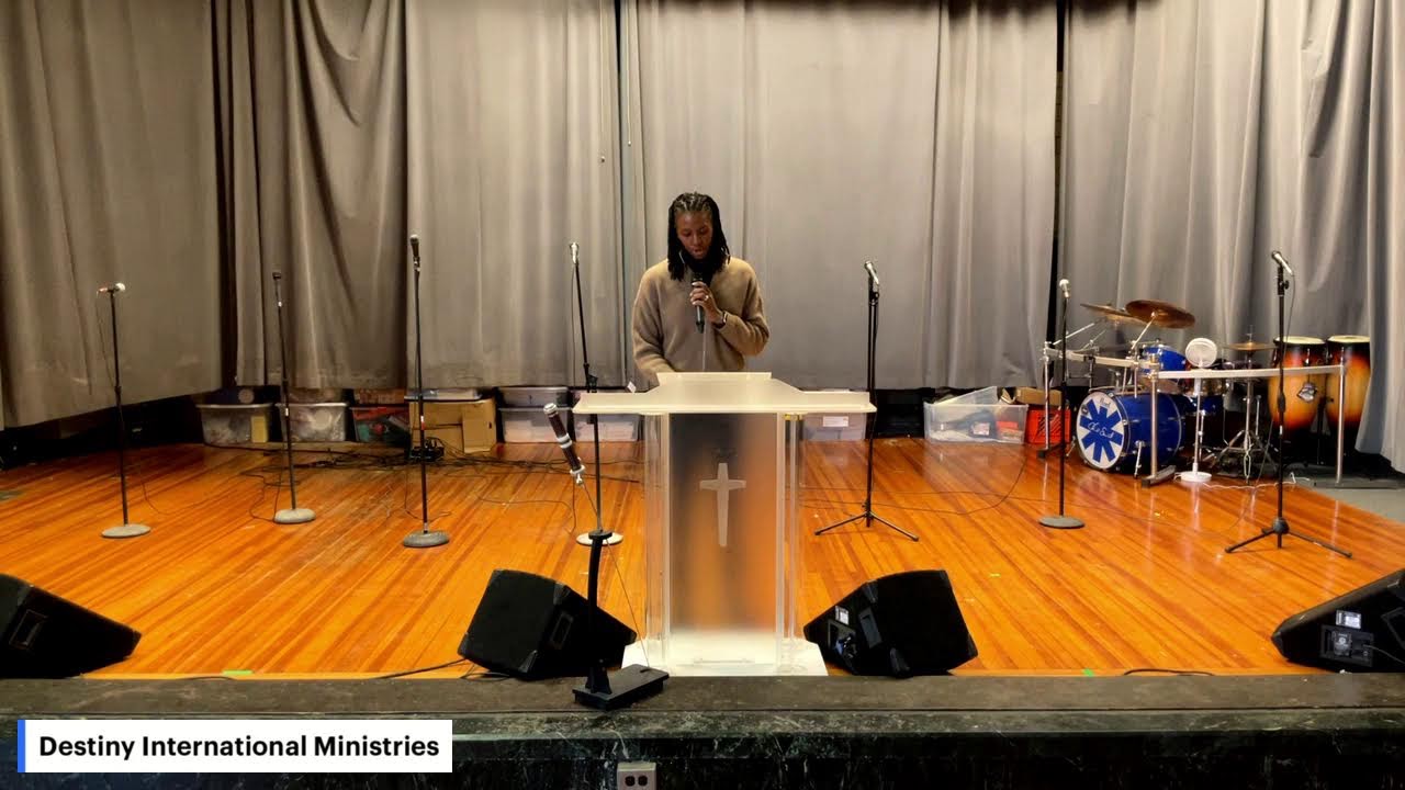 Thinking Like An Animal: The Locusts