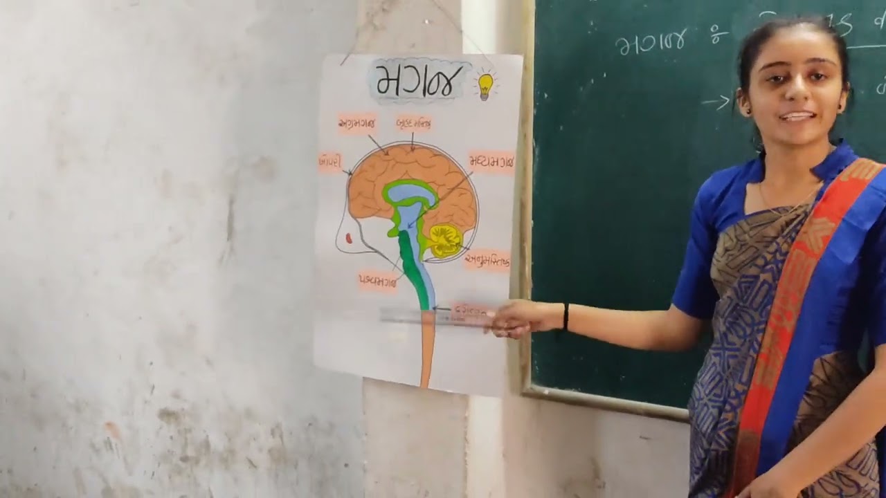 annual lesson (method-1 )science