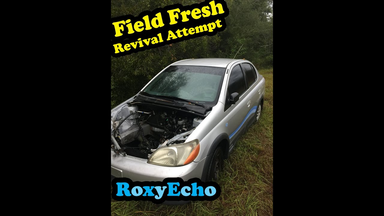 Toyota found in field, worth saving?