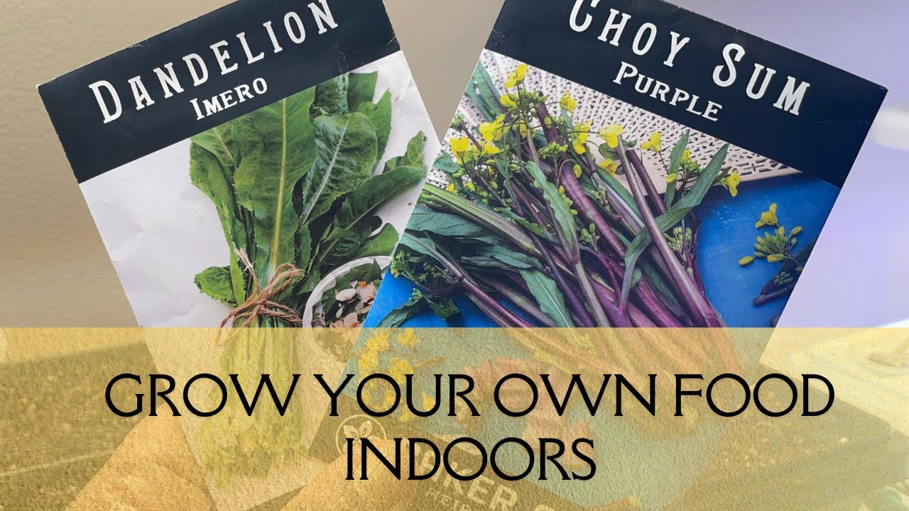 February Indoor Seed Starting - Sowing Baby Greens & Chives - Winter Indoor Vegetable Gardening