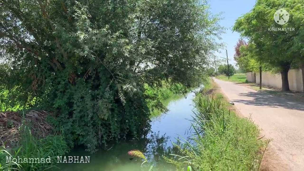 بساتين العاصي || طبيعة رائعة داخل مدينة حمص 30/7/2022