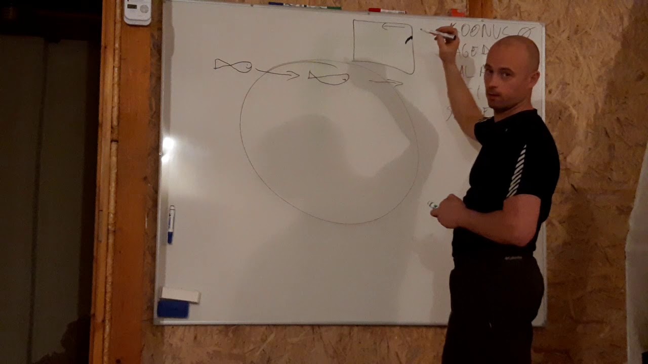 Kajaloodi pildist arusaamiseks kiire seletus algajale
