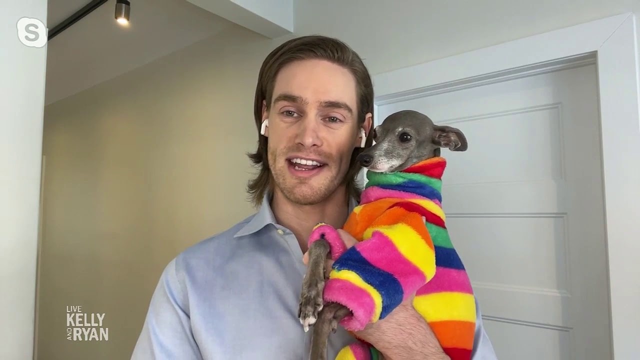 Good News: Fashion Influencer Tika the Iggy