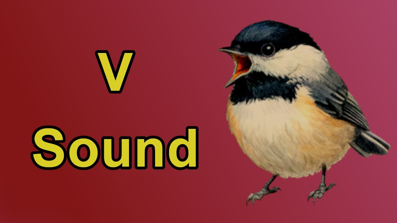 The V Sound Sonnet | Phonemic Awareness Poetry