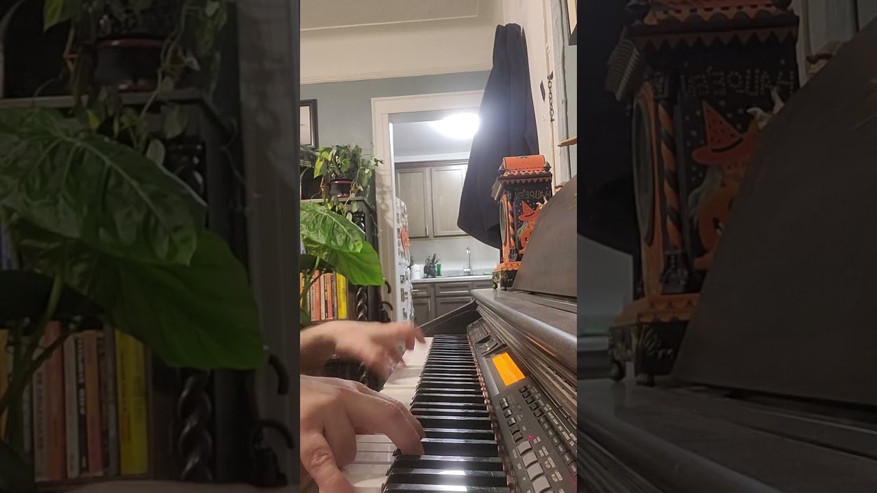 Medley of beautiful folk songs from several countries 