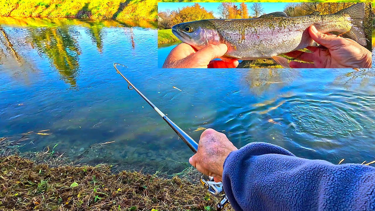 Forellenangeln am Kanal – Erfolgreich bei trübem Wasser!