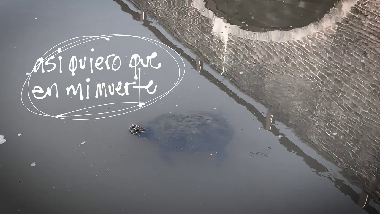 “Lo Feo – Video Letra Oficial” Ilan Chester