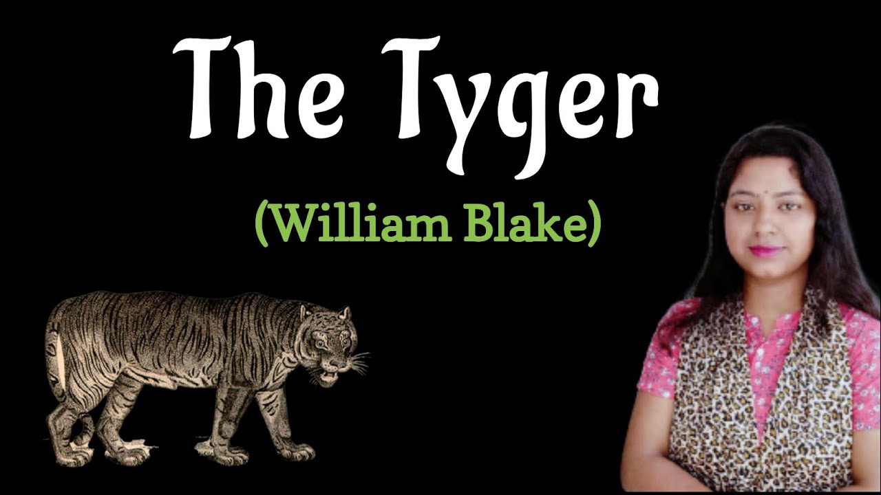 The Tyger | The Tyger by William Blake | Critical Analysis in bengali | Ugc net english literature.