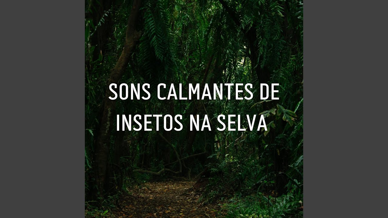 Natureza Em Sua Casa