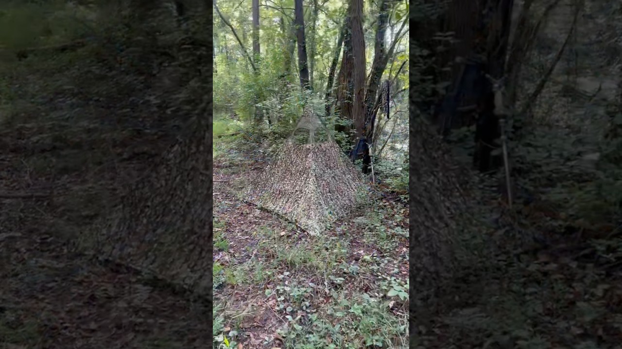 Best Portable Hunting Blind for Public Land | Lightweight Bow Hunting Gear 