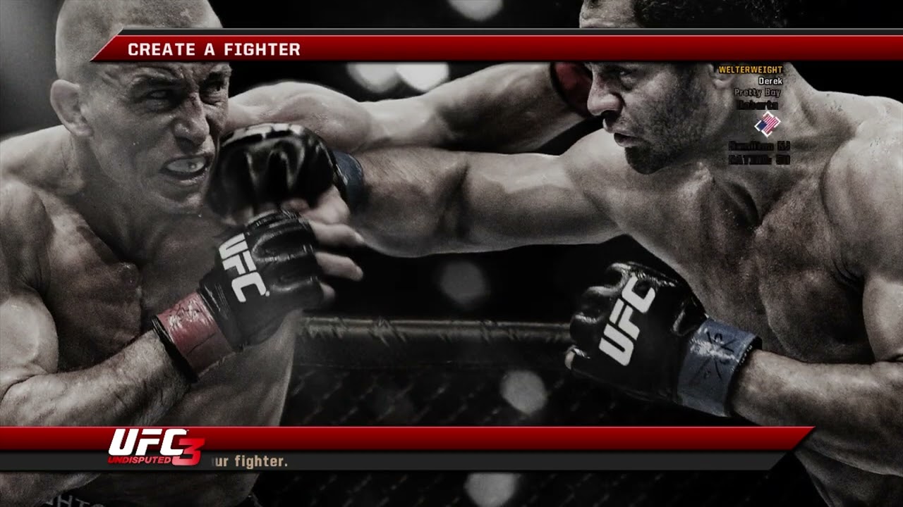 End of 2029 EFC Fighter Aging and Regression