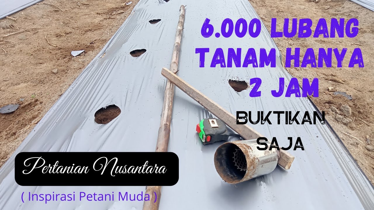 Super Cepat Cara Melubangi Plastik Mulsa