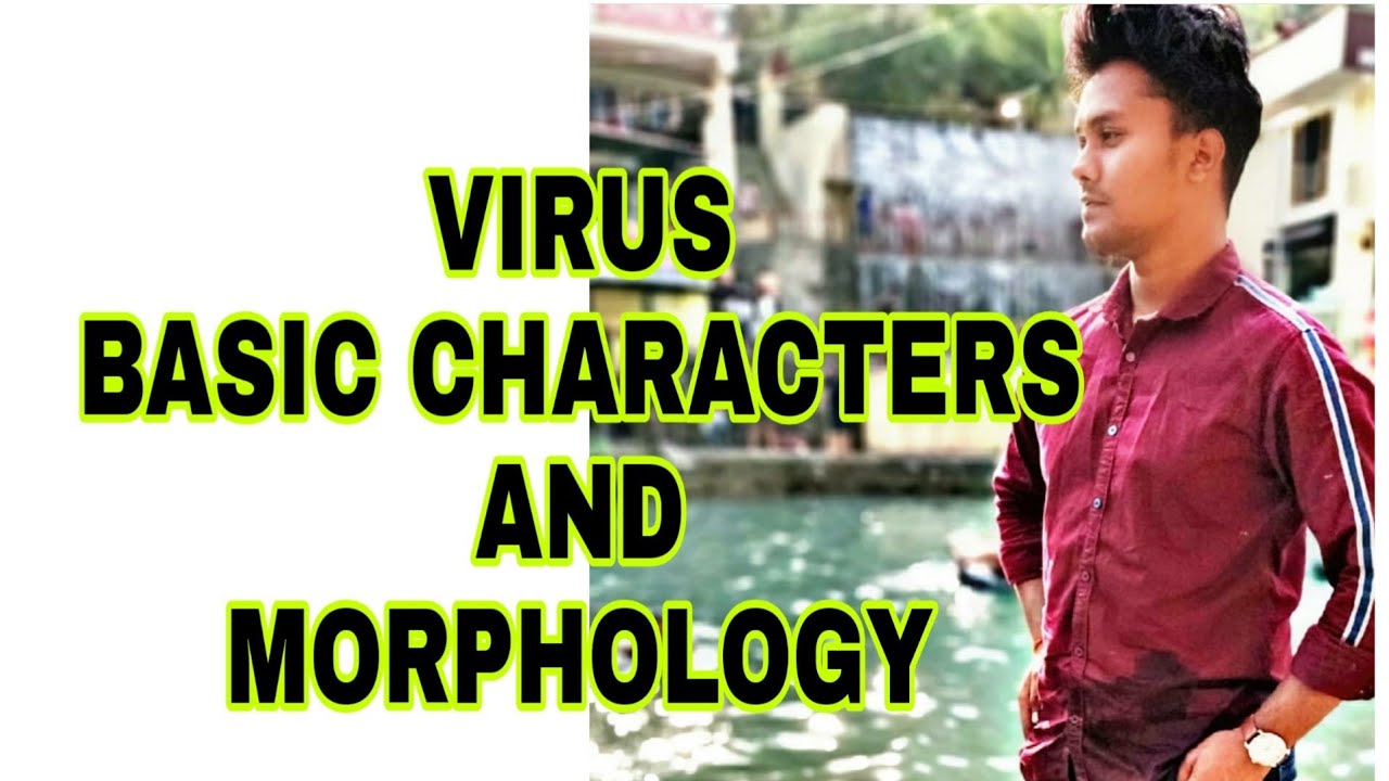 VIRUS CHARACTERISTICS/MORPHOLOGY/VIROLOGY