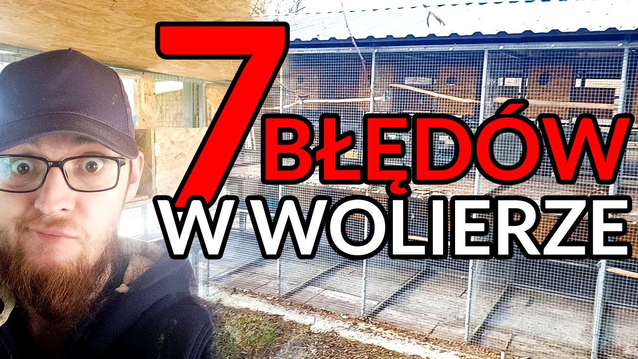 7 BŁĘDÓW, KTÓRE POPEŁNIŁEM PRZY BUDOWIE WOLIERY!