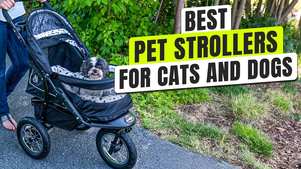 3 BEST Pet Stroller for Cats and Dogs - Don’t Buy Until You See This!