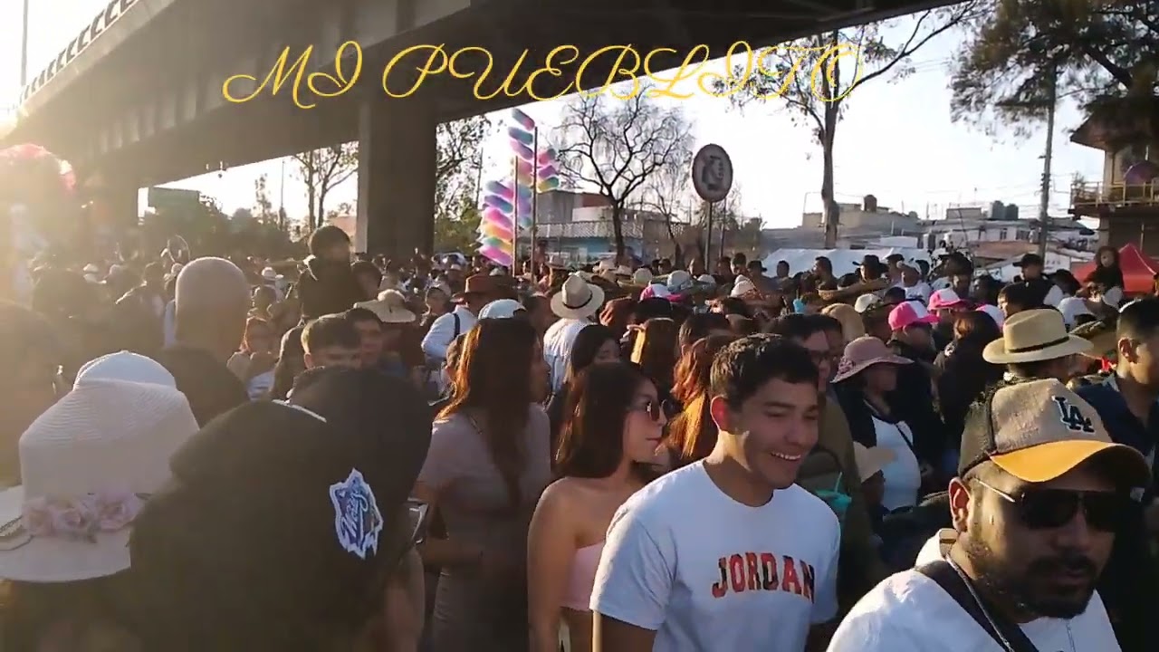 Carnaval de Santa Cruz meyehualco