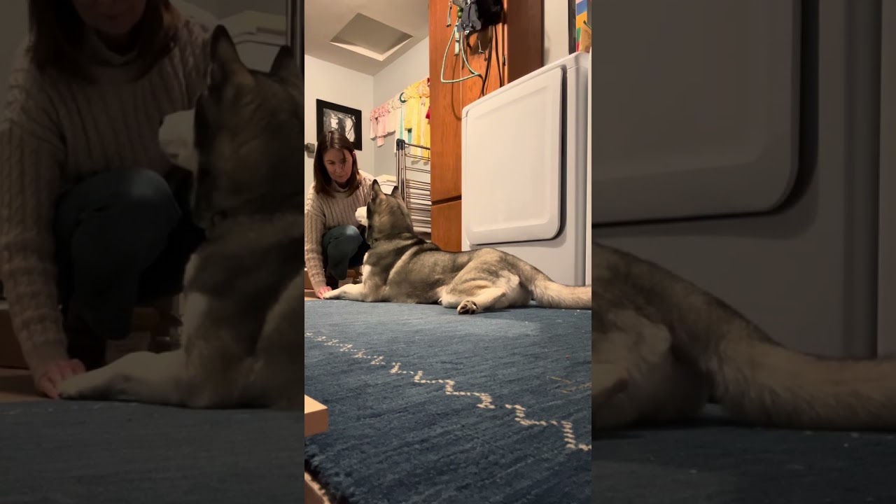 More Impulse Control Practice 