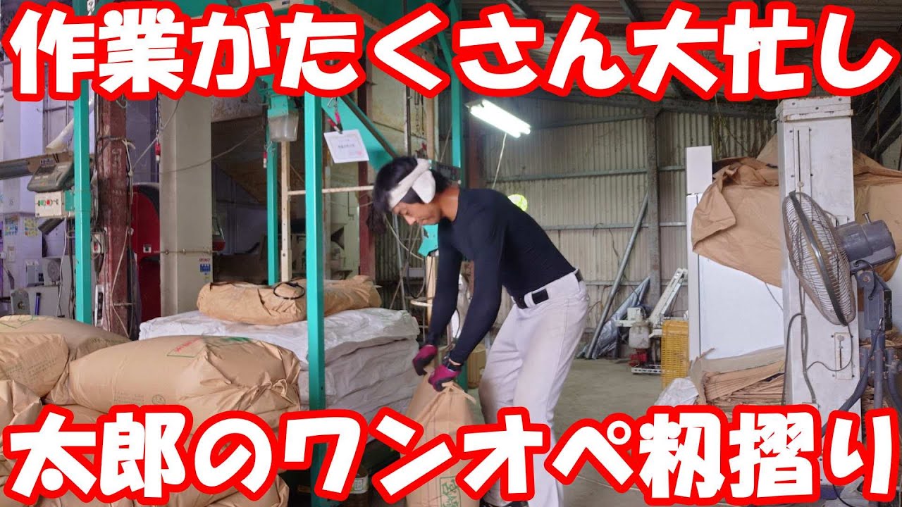 太郎のワンオペ紙袋籾摺り方法。