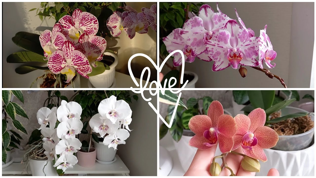 Наконец-то ВЕСНА ПРИШЛА 🌸🌱💛🐣🌞