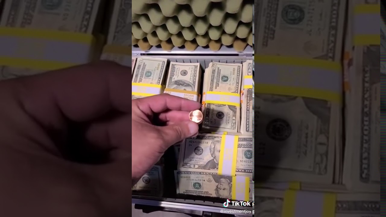 A penny or a million dollars tiktok