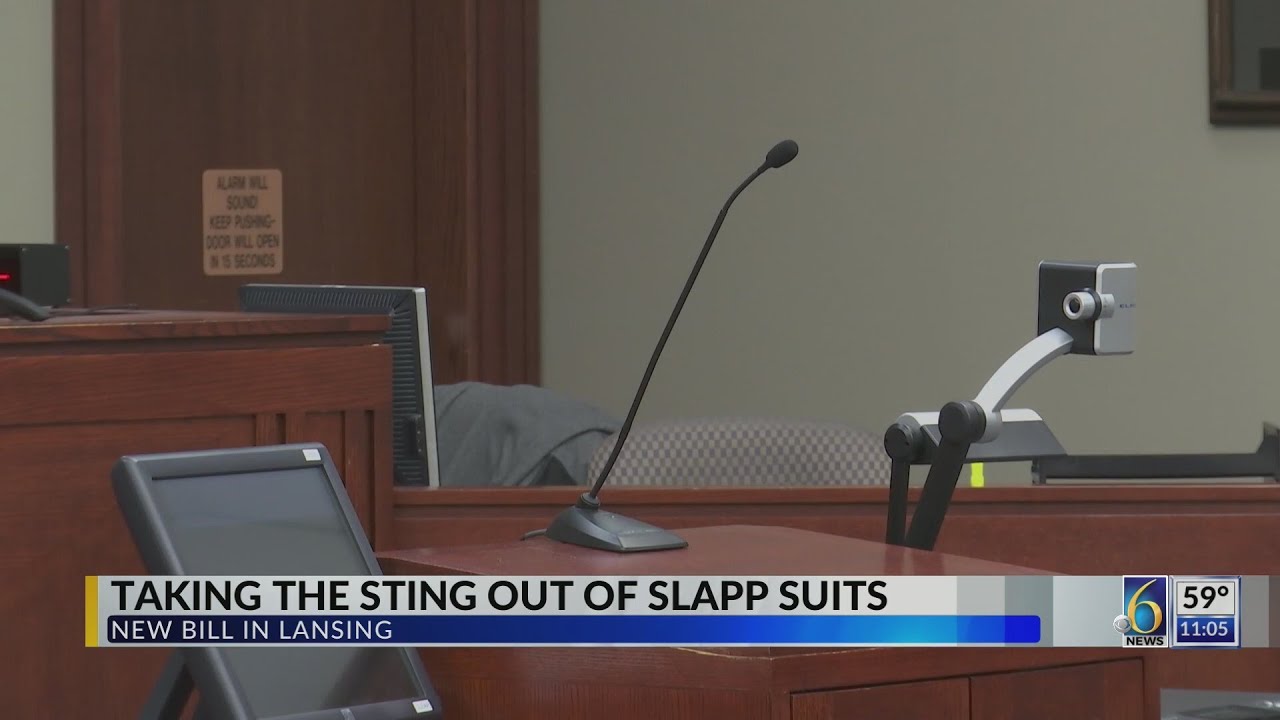 Taking the sting out of SLAPP suits
