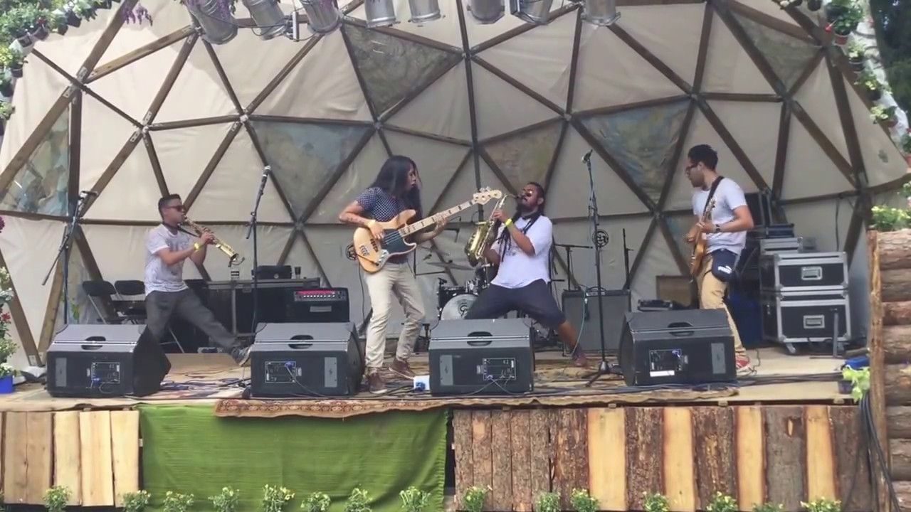 Perro Pelon- Los Kamer At NOG EEN PAAR HETE ZOMERS BELGIUM 2016