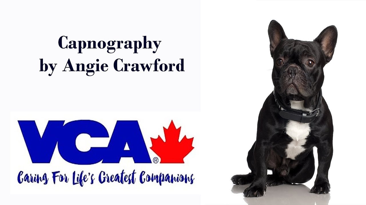 Capnography - Angela Crawford