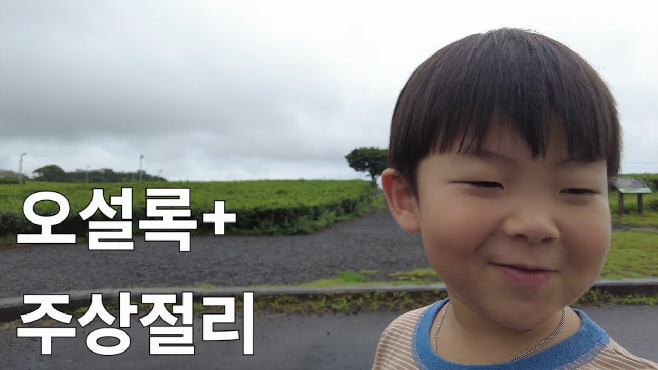 제주도 오설록+주상절리