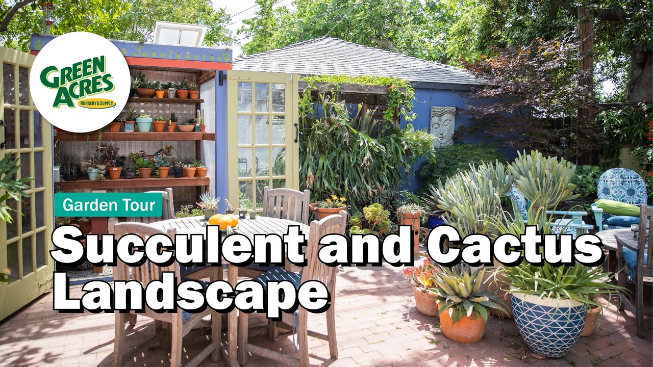 Garden Tour: Cactus and Succulent Landscape
