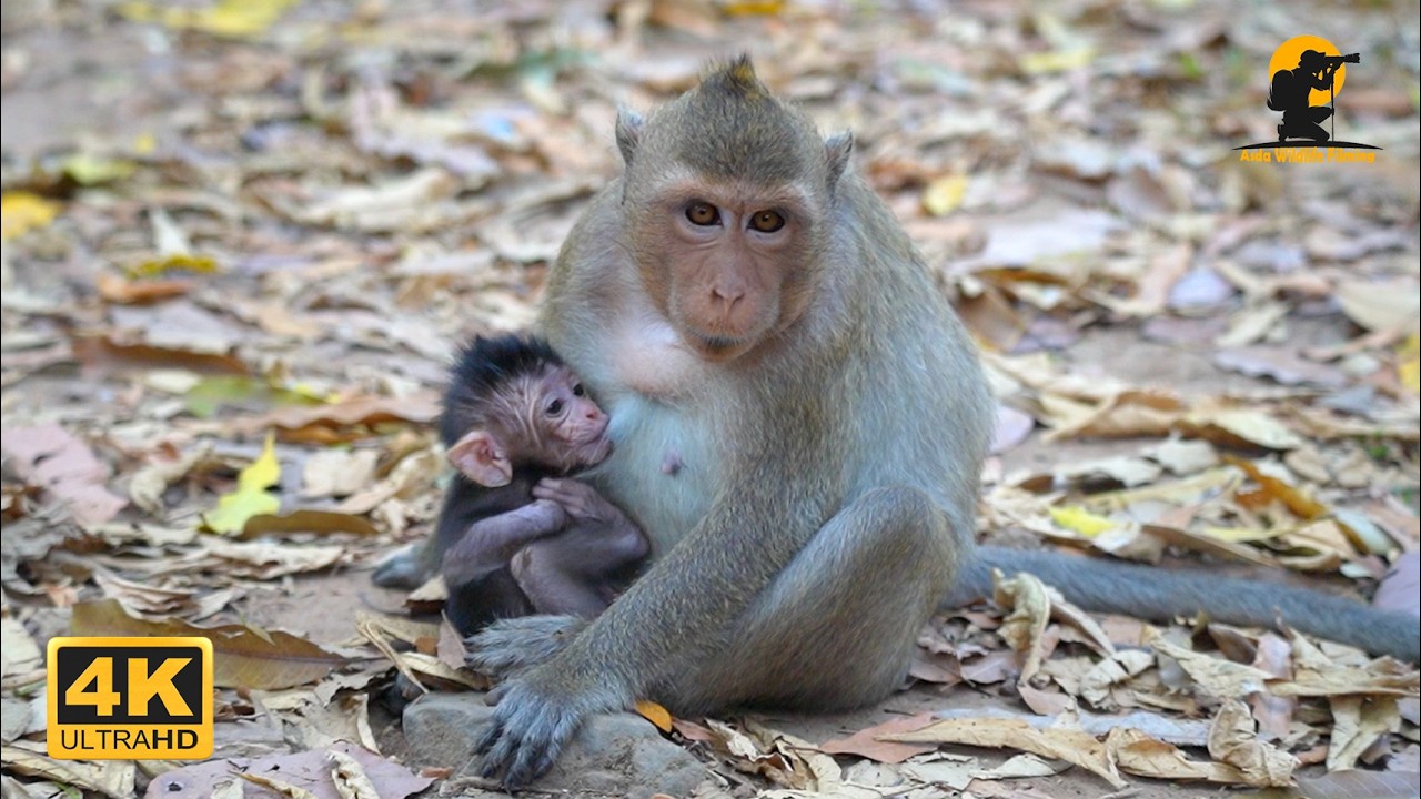 Learning to Mother: Amaya's Honest Journey