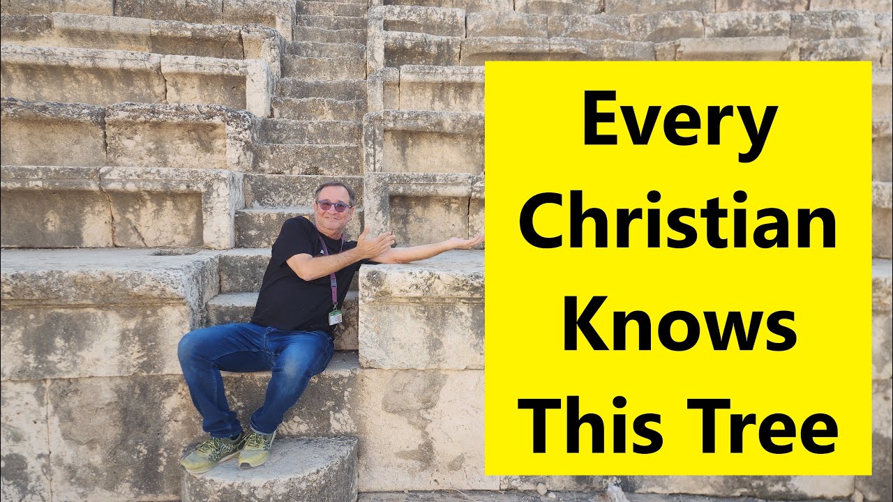 Exploring Ancient Beit She'an, Israel: Where King Saul's Body Was Hung on the Walls (Zahi Shaked)