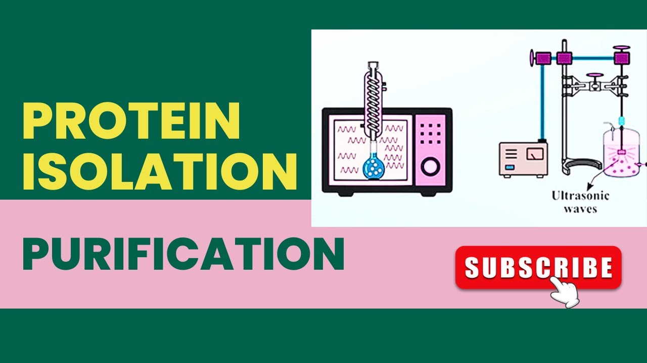 Protein Isolation and Purification
