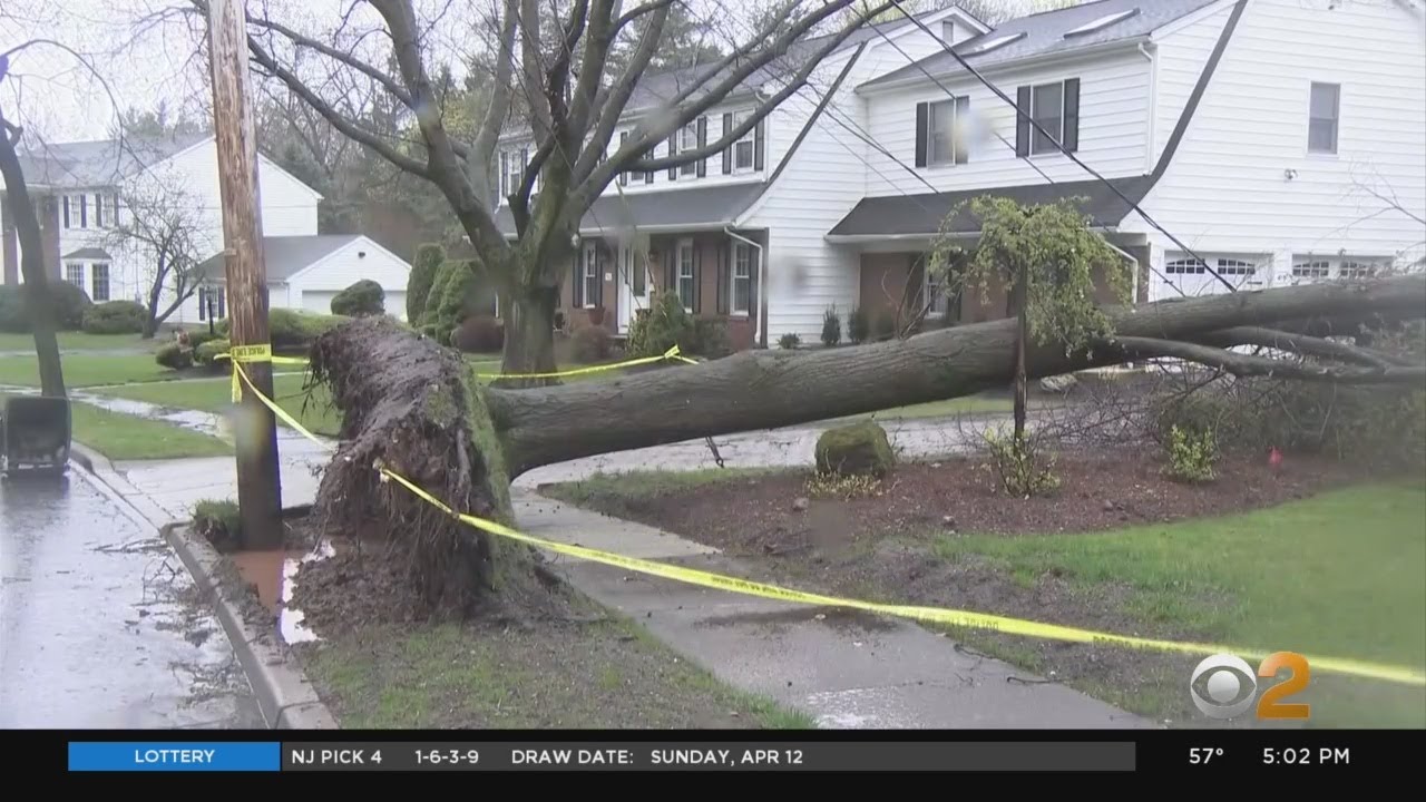 Severe Winds Down Trees Around Tri-State, Force COVID-19 Testing Centers To Close