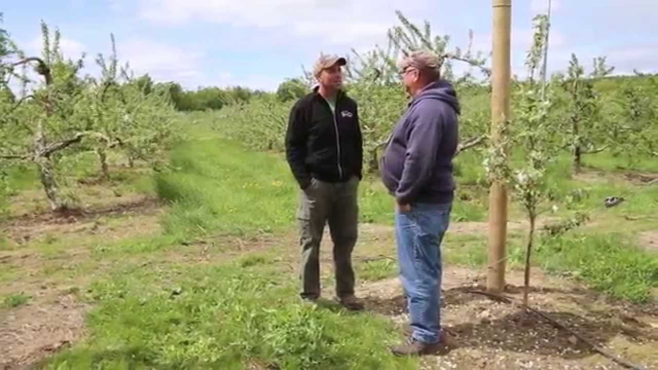 Al Rose | Red Apple Farm | Phillipston, Massachusetts