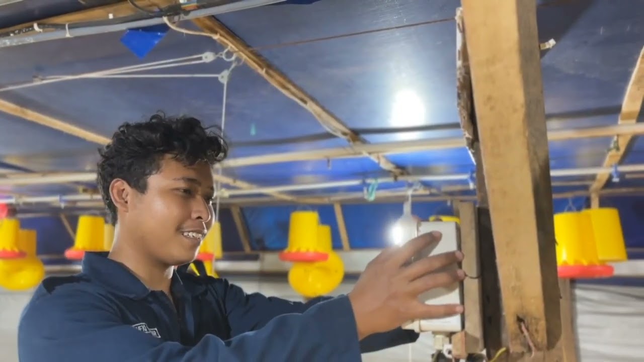 Magang Berdampak FAPET UB 2025 Owm. Farm Mabarakka PT Ciomas Adisatwa Unit Maros 