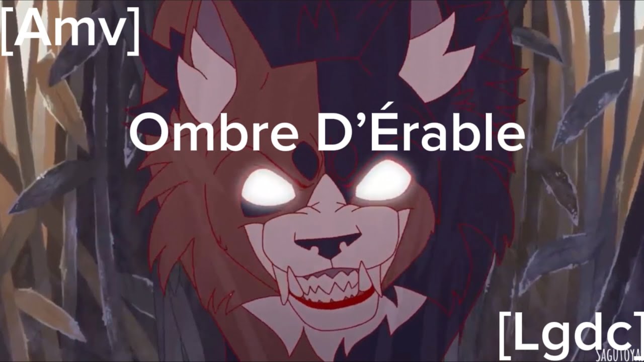 [Amv] Ombre D’Érable-Darkside [Lgdc]