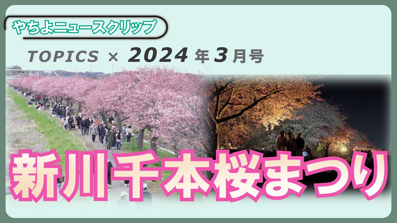 やちよニュースクリップ3月号「特集・新川千本桜まつり」