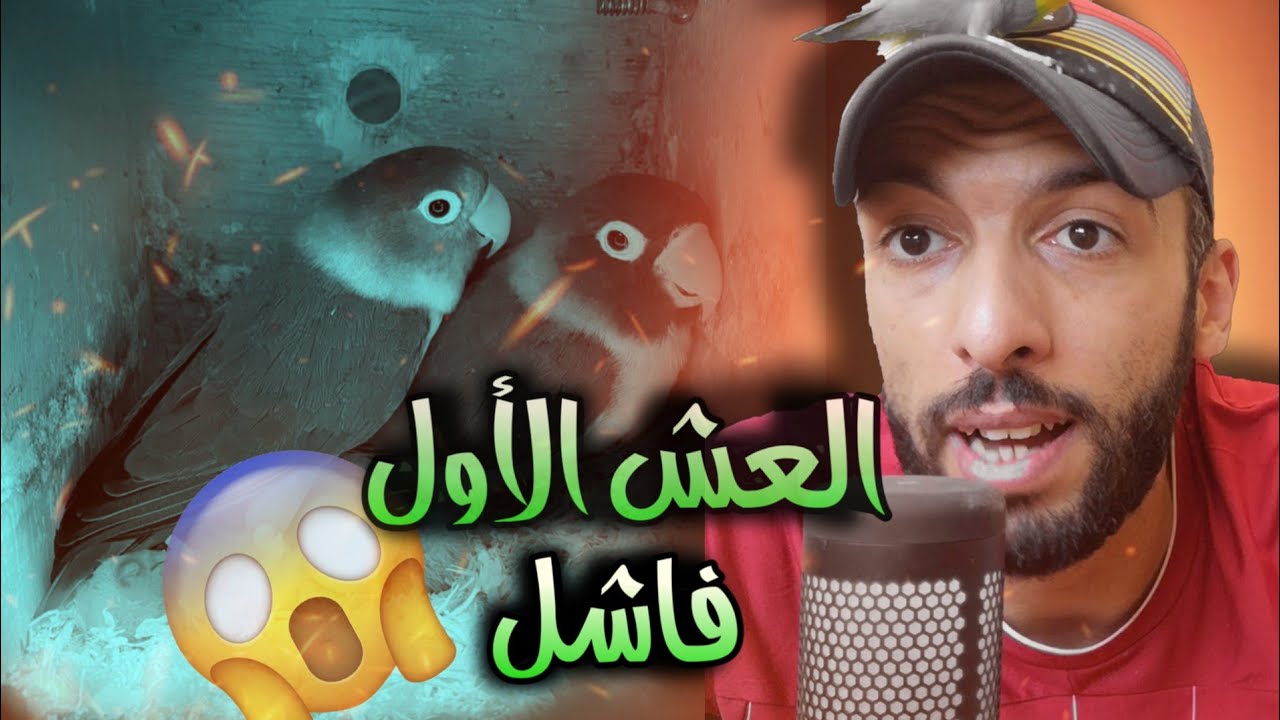بداية فاشلة في عش الفيشر 😏 مشاكل الإنتاج #1