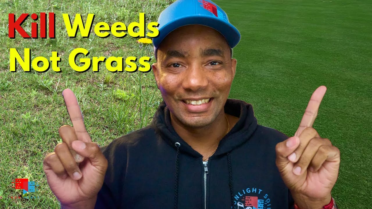 Kill Weeds and NOT Your Grass this Spring