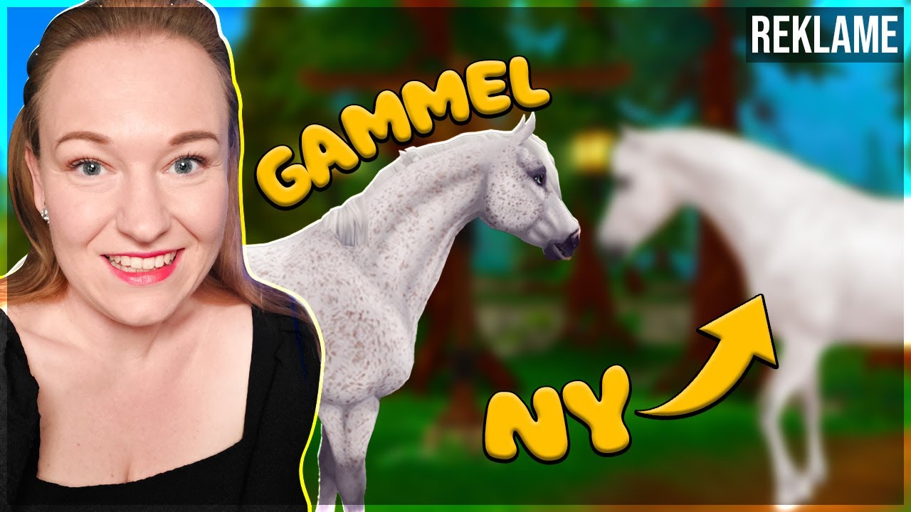 Der er kommet NY CONNEMARA i Star Stable!