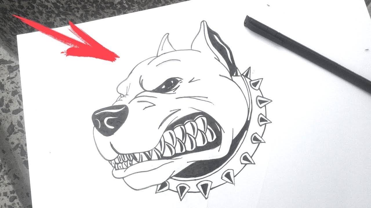 Como Desenhar um cachorro, PITBULL, Bravo, Desenhos faceis 🐕🐕🐕